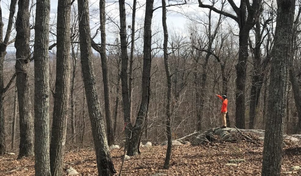 Cane Creek Mountains Natural Area - hiker overlooking view