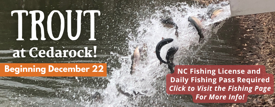 image of trout in the water with text overlay on top of the image.