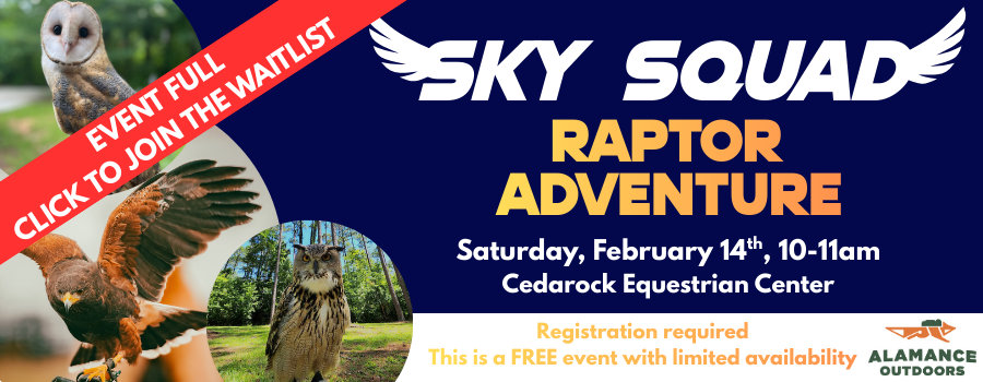 dark blue background with images of owls and a falcon with text overlay.