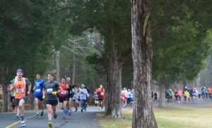 photo of runners from 2014 run at the rock
