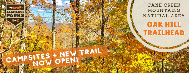 Exquisite Cane Creek Mountains Natural Area - Pine Hill Trailhead Artwork Collection Exquisite Cane Creek Mountains Natural Area - Pine Hill Trailhead Artwork Collection
