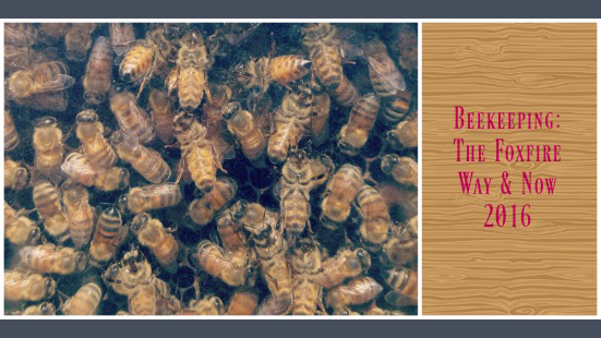 photo of presenters and attendees