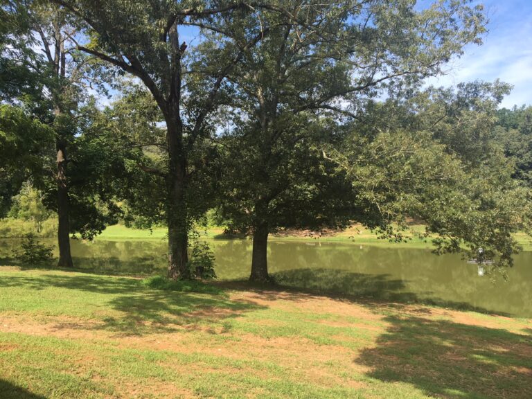 Cedarock Park pond