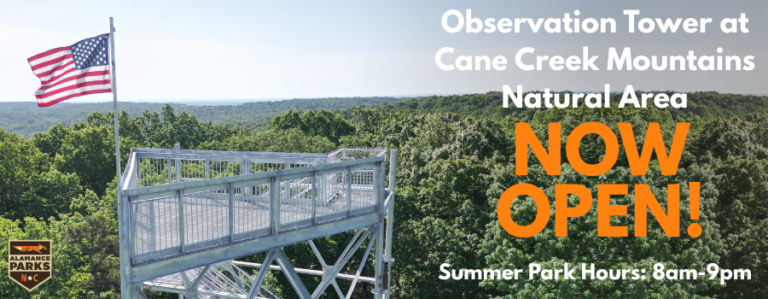 High-Quality Cane Creek Mountains Natural Area - Pine Hill Trailhead View Art High-Quality Cane Creek Mountains Natural Area - Pine Hill Trailhead View Art