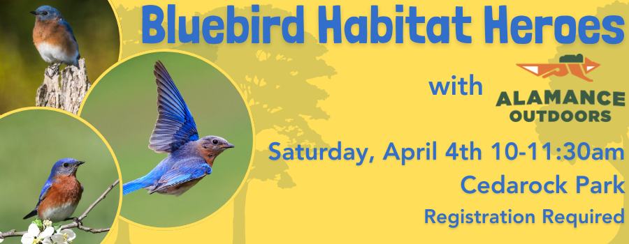 images of bluebirds with tree outlines in the background and text overlay with alamance parks logo