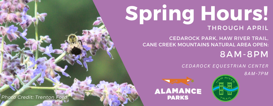 Image of a bee on a flower with a text overlay on purple background annoucning updated park hours for April