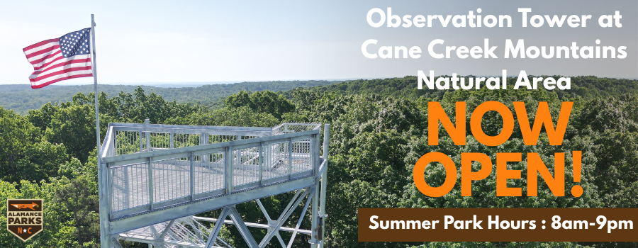 aerial image of the top of a lookout tower overlooking tree tops