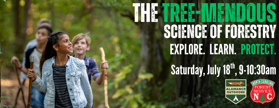 image of kids hiking in nature with text advertising an upcoming youth forestry program.
